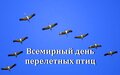 ПОСЛАНИЕ ГЕНЕРАЛЬНОГО СЕКРЕТАРЯ ПО СЛУЧАЮ ВСЕМИРНОГО ДНЯ ПЕРЕЛЕТНЫХ ПТИЦ